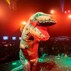 GRINGO FAMILY RAVE<h3> Price from: 49€</h3>