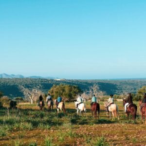 NATURACAVALL<h3> Price from: 55€ per person</h3>