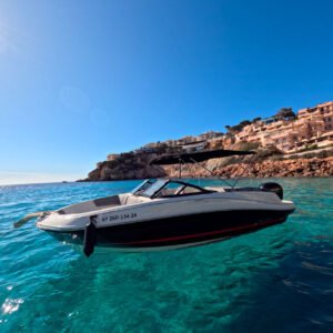 Private charter Bayliner VR5<h3> Price from: 400€</h3>